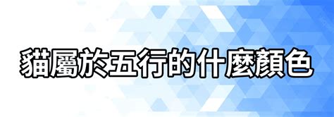 貓五行屬性|【貓+五行土】五行貓屬於什麼 